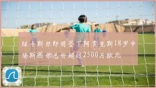 纽卡斯尔即将签下阿贾克斯18岁中场斯图尔总价超过2500万欧元