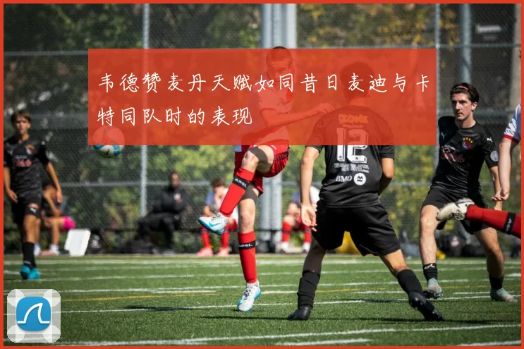 韦德赞麦丹天赋如同昔日麦迪与卡特同队时的表现